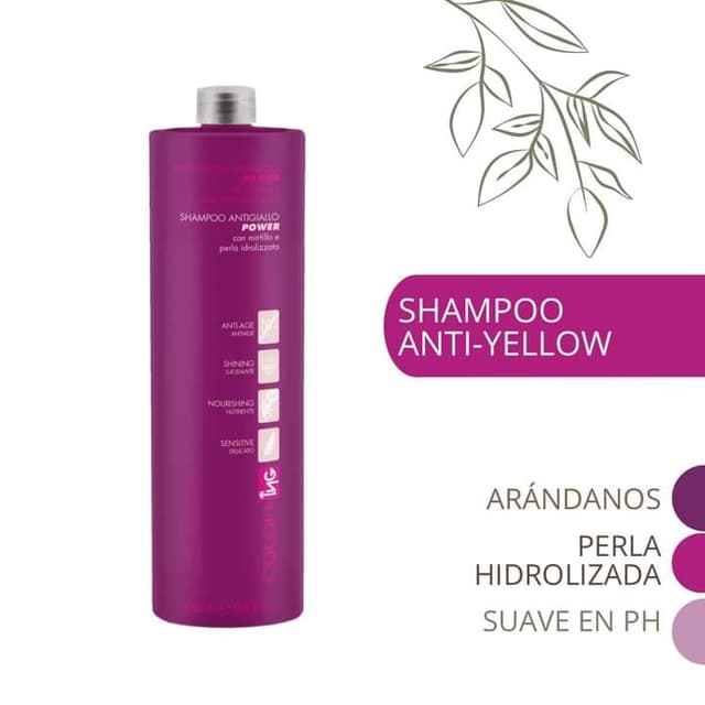 Shampoo Anti- Yellow 1000ml